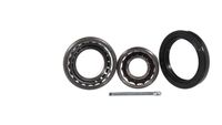 Set rulment roata SKF, Cod: VKBA 505
