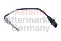 Sensor, Abgastemperatur