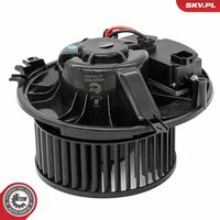 Article Picture