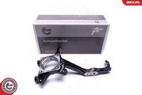 Steering Knuckle, wheel suspension