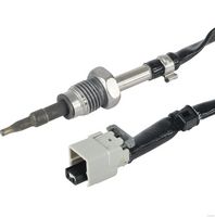 Sensor, Abgastemperatur
