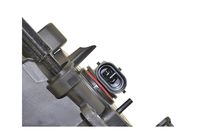 Article Picture