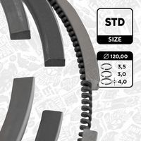 Thumbnail - Zuigerveerset - R1003100 - ET ENGINETEAM