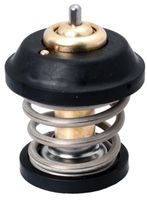 Thermostat, Kühlmittel
