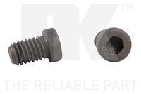 Schraube, Bremsscheibe