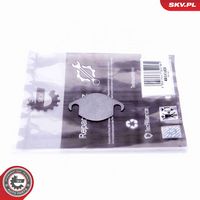 SET DE REPARAțIE SUPAPă AGR