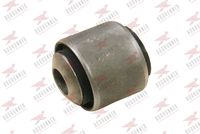 тампон, носач