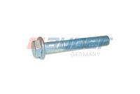 Befestigungsbolzen, Stabilisator Befestigungsbolzen, Stabilisator