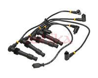 Set cablaj aprinder ASHIKA, Cod: 132-00-0401