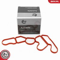 Gasket, oil filter housing