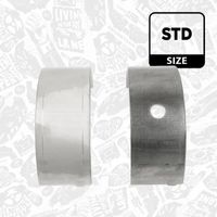 Thumbnail - Hoofdlager - LH000500 - ET ENGINETEAM