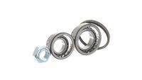 Article Picture