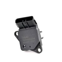 DELPHI Luchtmassameter 5