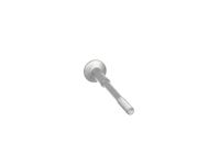 Thumbnail - Schroef, inspuitstukhouder - BS0048 - ET ENGINETEAM