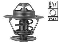 Thermostat, Kühlmittel