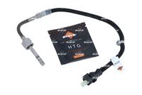 Sensor, Abgastemperatur