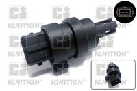 Sensor, Ansauglufttemperatur