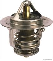 Thermostat, Kühlmittel