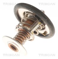 Thermostat, Kühlmittel