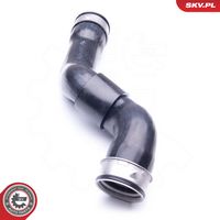 Article Picture