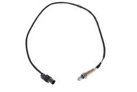 ламбда-сонда