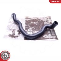Article Picture