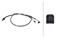 Sensor, Raddrehzahl