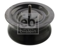 PISTON PERNA DE AER