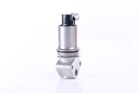 Izpl. gāzu recirkulācijas vārsts