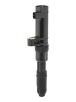 Bobina inductie BorgWarner (BERU), Cod: ZS552