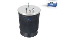 DT Spare Parts Veerbalg, luchtvering 1