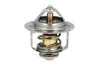 Thermostat, Kühlmittel