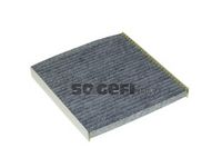 Филтър купе (поленов филтър)