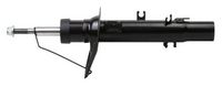 Amortizor MAXGEAR, Cod: 11-0884