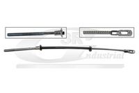 MANETA FRANA DE MANA