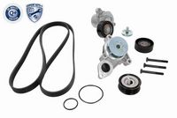 SET CUREA TRANSMISIE CU CANELURI