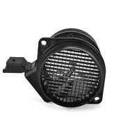 DELPHI Luchtmassameter 8