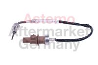 Sensor, Abgastemperatur