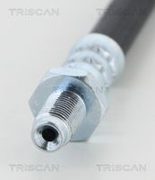 Article Picture