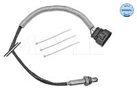 ламбда-сонда