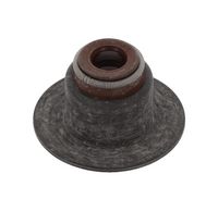 Dichtring, Ventilschaft