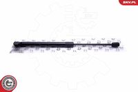 Gas Spring, boot/cargo area