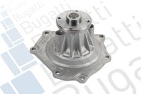 Wasserpumpe, Motorkühlung