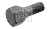 Wheel Bolt