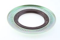 Wellendichtring, Radnabe