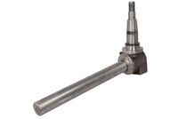 Steering Knuckle, wheel suspension