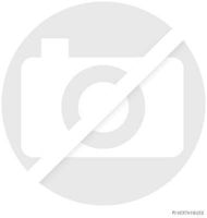 Luftmassenmesser