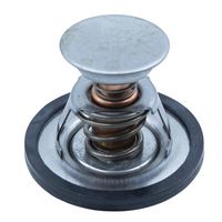 термостат, охладителна течност