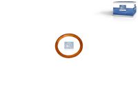 Inel de etansare DT Spare Parts, Cod: 3.89548