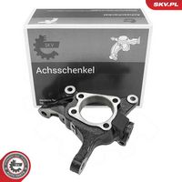 Steering Knuckle, wheel suspension